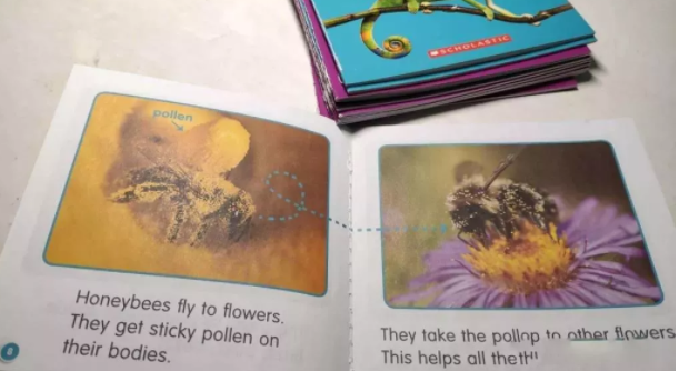 不同年齡段如何做英語(yǔ)分級(jí)閱讀？這份操作指南請(qǐng)收好，讓孩子少走彎路！