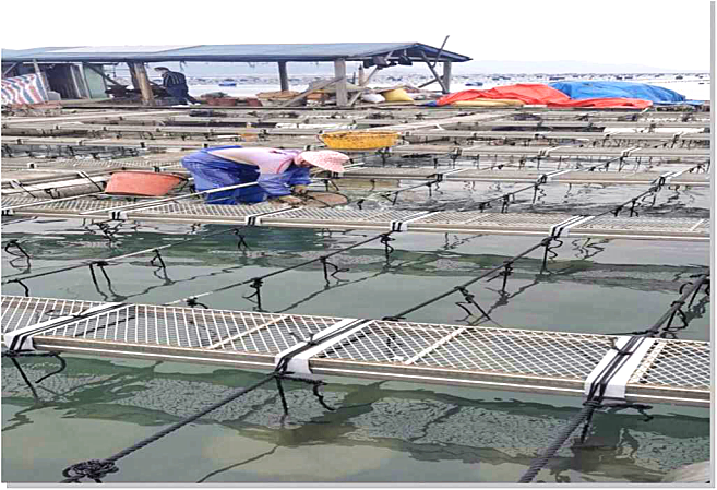 1604382632948286.png 微信圖片_20201103135036.png